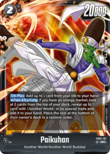 FB05-107 - Paikuhan